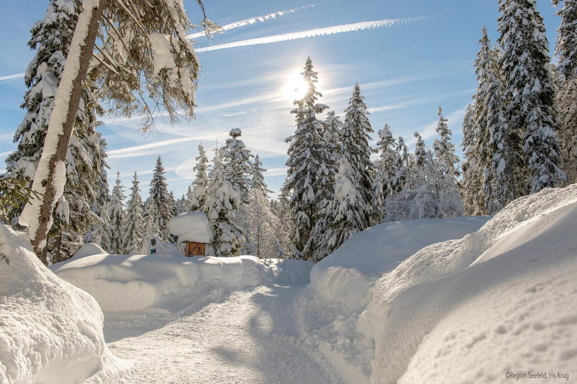 Sissi'S Green Chalets Leutasch Exteriör bild